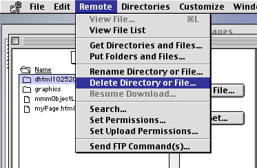 Deleting a file or folder